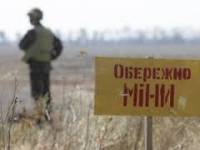 ОБСЕ призывает ускорить процесс разминирования Донбасса